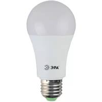 Лампа светодиодная ЭРА Standart Б0033183, E27, A60, 15 Вт, 4000 К