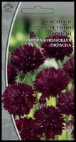 Семена Ваше Хозяйство Василек однолетний черный Неприхотливый однолетник с декоративной листвой и очаровательными красно-коричневыми, почти чёрными цветками высотой 70-80см. Цветки махровые, крупные, диаметром 4-5см. Листья ланцетные, серовато-зеленые. Растение холодоустойчивое, светолюбивое. Цветет обильно с июля до сентября. Используют для оформления клумб, рабаток, мавританского газона, в группах, а также срезки. 0,1гр