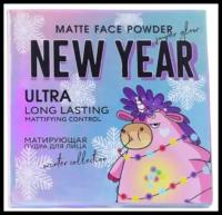 Beauty Fox Матирующая пудра для лица New Year Must Have