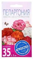 Семена комнатных цветов Пеларгония 