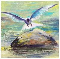 Постер на холсте Чайка (Seagull) 41см. x 40см