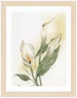 PN-0008015 Набор для вышивки крестом LanArte Calla lily flower Каллы