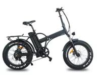 Электрофэтбайк Elbike Taiga 2 St (чёрный)