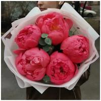 5 коралловых пионов Корал шарм с эвкалиптом. Букет цветов 217 Kimbirly Flowers