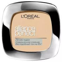 Пудра компактная для лица L'Oreal Paris Alliance Perfect т.D5 9 г