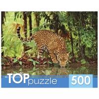Пазл Рыжий кот Ягуар на водопое (КБТП500-6801), 500 дет., 48.1х34х7 см, голубой