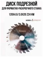 Диск подрезной пильный для форматно-раскроечного станка 120х2.0-4.0х20Z24