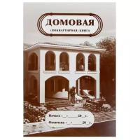 Домовая (поквартирная) книга А4 8л, блок писчая 65г/м2, обл. мел. карт. 215г/м2 3554136