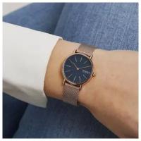 Наручные часы SKAGEN Signatur Skagen SKW2837, золотой, синий