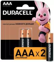 Батарейки комплект 2 шт., DURACELL Basic, AAA (LR03, 24А), алкалиновые