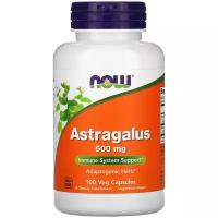 ASTRAGALUS 500mg 100 капсул