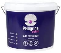 Краска акриловая Pelligrina Paint для потолков матовая белый 7 кг