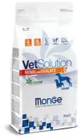 Monge VetSolution Dog Renal диета для собак Ренал 2 кг