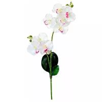 Орхидея искусственная белая с розовым, 50 см