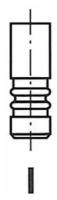 Выпускной клапан Freccia R6204/BMCR