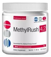 SEI Nutrition Methyl Rush 4.2 325гр. ягода