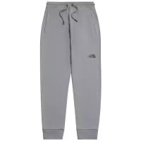 Штаны The North Face Men's NSE Light Joggers Wrought Iron / S