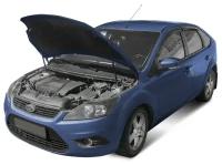 Амортизаторы капота (2 шт) Ford Focus II (2005-2008 2008-2011) автоупор UFDFOC013