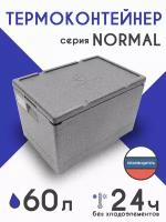 Termobox.ru / Термоконтейнер для еды 60 литров NORMAL