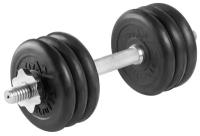 Гантель разборная 10 кг TITAN Barbell - d31, Комплектация №2 с железной ручкой