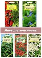 Набор семян, семена многолетних лиан и вьющихся растений, виноград, хмель, клематис