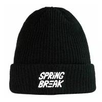 Шапка Capita Spring Break Beanie 2022