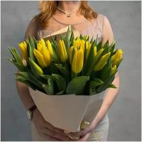 Букет из 51 желтых тюльпанов сорта стронг голд 40см (россия) с атласной лентой
