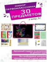 Набор школьника первоклассника канцелярский в папке А4, 30 предметов, для мальчиков