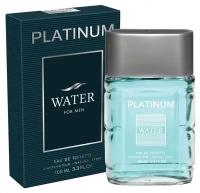 Today Parfum туалетная вода Platinum Water, 100 мл, 250 г