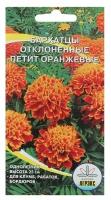 Семена Агрэкс Бархатицы Петит оранжевые, отклонённые, махровые, 0,25 г