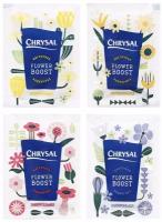 Удобрение Chrysal Flower boost для срезанных цветов, порошок, 0.005 л, 0.1 кг, 20 уп