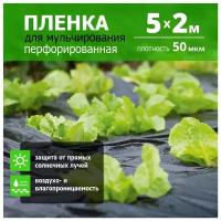 Пленка для мульчирования полиэтиленовая 50 мкр (5*2 м) 