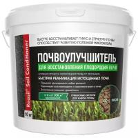 Удобрение Reasil Soil Conditioner для восстановления плодородия почв