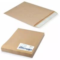 Конверт-пакеты Е4+ плоские (300×400 мм), до 300 листов, крафт-бумага, отрывная полоса, комплект 25 шт., 312017.25