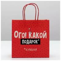 Пакет подарочный «Ого! Какой подарок», 22 × 22 × 11 см (1шт)