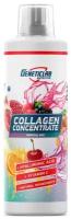 Коллаген Geneticlab Nutrition Collagen Support (500 мл) Тропический микс