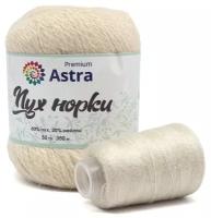 Пряжа Astra Premium 'Пух норки' (Mink yarn), 50 г, 290 м (+/- 5%) (80%пух, 20%нейлон) (+нить 20гр) (046 молочный)