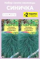 Семена многолетней травы Овсяница Синичка, 2 уп. по 0,1 гр, Гавриш, растения для сада, огорода