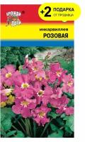 Семена цветы Инкарвиллея (Глоксиния) Розовая, 0,04г. + 2 Подарка