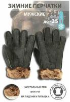 Перчатки мужские Happy Gloves замшевые