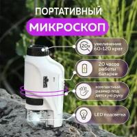 Портативный микроскоп, Карманный микроскоп, Портативный микроскоп, Оптический микроскоп