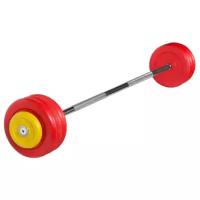 Набор спортивных штанг MB Barbell неразборная MB-BarMW-C