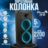 Акустическая колонка ELTRONIC 20-58 DANCE BOX 500 2*8