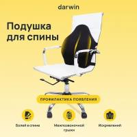 Подушка на стул для спины Darwin с эффектом памяти, анатомическая, ортопедическая, профилактическая, 45х55 см, высота 6 см