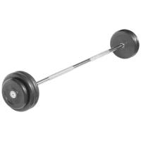 Набор спортивных штанг MB Barbell неразборная MB-BarMW-B