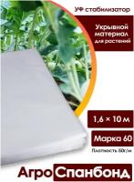 Body Pillow Спанбонд укрывной 1,6х10 м плотностью 50 г/м2, Марка 