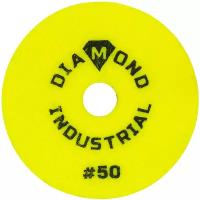 Шлифкруг алмазный Diamond Industrial ф100 № 50 AAA Proff DIDCHSH050