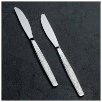 Нож столовый «Уралочка», h=19,5 см, толщина 2 мм, цвет серебряный