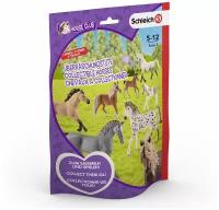 Пакетик-сюрприз с 2 фигурками Schleich Horse Club, 3 серия