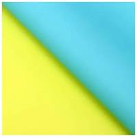 Плёнка двусторонняя цветная матовая 60 х 60 см, цвет жёлтый/голубой, 20 шт